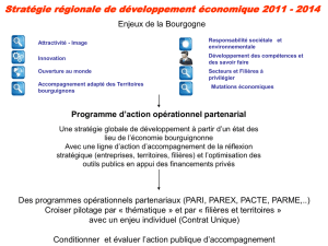 Stratégie régionale de développement économique 2011