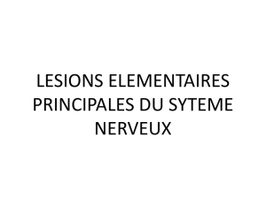 II. Les lésions élémentaires du SNC