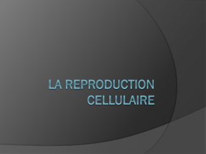 La reproduction cellulaire
