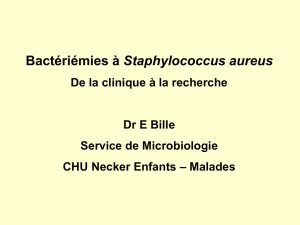 Bactériémies à Staphylococcus aureus