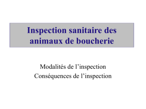 Inspection sanitaire des animaux de boucherie