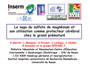 Sulfate de magnésium Rouen, Lille, Montpellier 2011