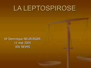 la leptospirose - Formation Médecine du Travail