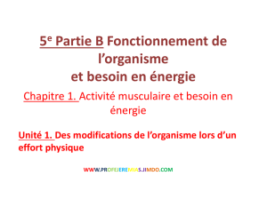 5e Partie B Fonctionnement de l`organisme et besoin en énergie