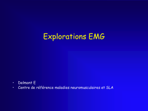Explorations EMG - carabinsnicois.fr