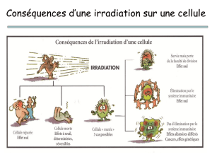 Conséquences d`une irradiation sur une cellule