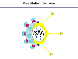 Virus défectif