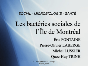 Les bactéries sociales de l`Île de Montréal