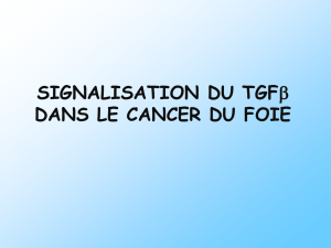 TGF et le cancer du foie