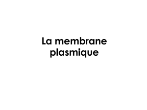 Constituants de la membrane plasmique