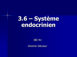 2.6 – Système endocrinien