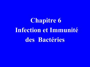 细菌的感染与免疫