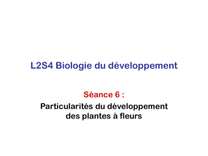 L2S4 Biologie du développement