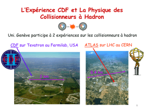 La Physique des Collisionneurs à Hadron