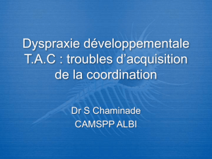 Dyspraxies et TAC Dr Chaminade 2008