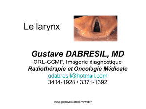 Le larynx et le pharynx