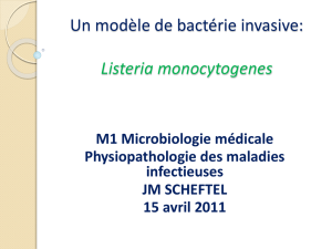 Un modèle de bactérie invasive: Listeria monocytogenes