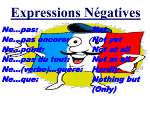 Expressions Negatives