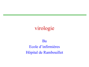 (+) des virus