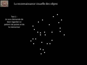 La reconnaissance visuelle des objets