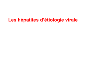 Virus de l`Hépatite E