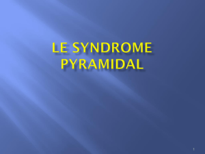 le syndrome pyramidal