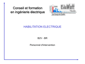 habilitation electrique