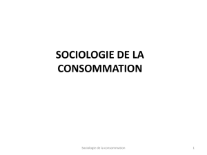 sociologie de la consommation