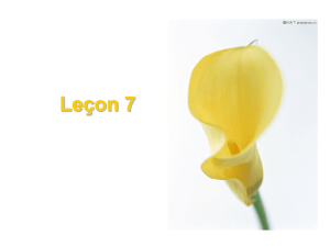 lecon 7