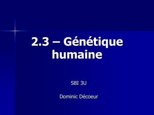2.3 – Génétique humaine