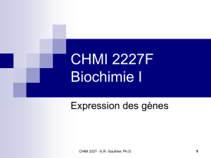gène - cellbiochem.ca