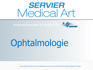 Ophtalmologie - Servier Medical Art