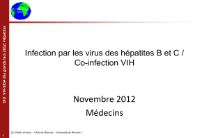 DIU VIH-SIDA des grands lacs 2012: Hépatites