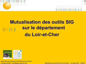 Mutualisation des outils SIG sur le département du Loir-et-Cher