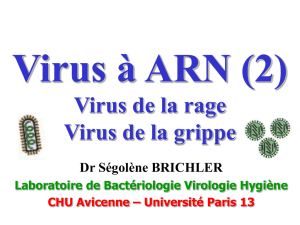 Virus à ARN 2