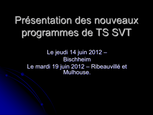 Présentation des programmes TS 2012 (document ppt)