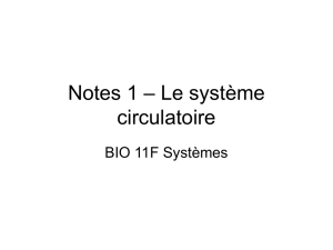 Notes 1A – Le système circulatoire