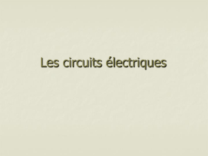 L`electricite dynamique - Mme Gallant