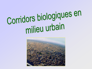Powerpoint : continuité biologique en milieu urbain