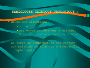 semiologie clinique urologique