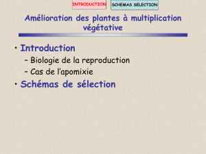 plantes_à_multiplication_végétative