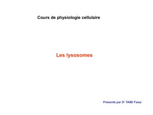 Downloads/lysosomes.pps
