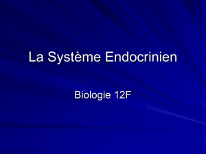 La Système Endocrinien - hrsbstaff.ednet.ns.ca
