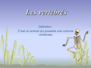 classification_des_animaux