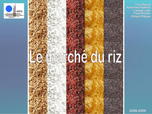 Le marché du riz - Marketing4innovation.com