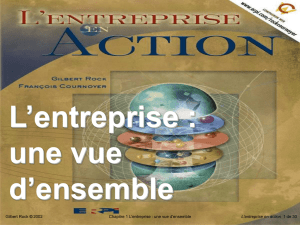 L`entreprise : une vue d`ensemble