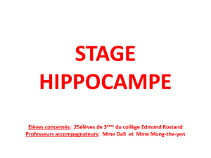 Un stage Hippocampe consiste ainsi à accueillir une classe de