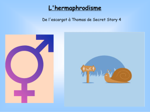 L-hermaphrodisme_d_l-escargot_a_Thomas_de_Secret-Story