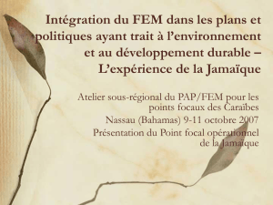 Integrating GEF in Environment and Sustainable Development
