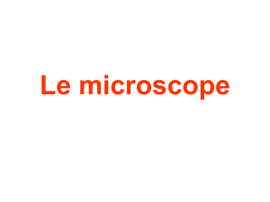 Modélisation du microscope
